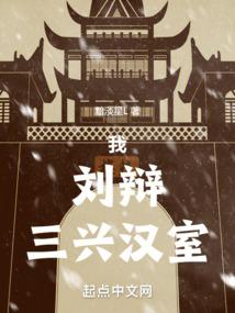 我，刘辩，三兴汉室笔趣阁