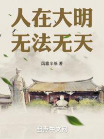 人在大明，无法无天笔趣阁